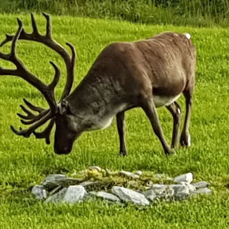 Torsvag Fyr 度假居